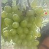 nishha8787