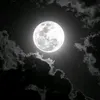 .mystafa4