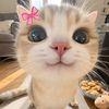 ppiiww8