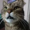 calabocachinelo