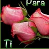 sorour616