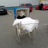 bublinka5