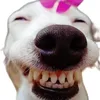 bithudienthoai1