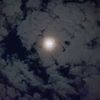 fahdsalman14