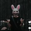 Koko_00