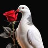 elyor.ilashboyev