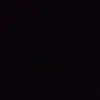 dln95_jlm