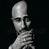 ibrahim.g498