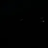 fqw009