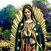 mona.ruiz753