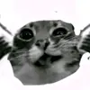 not_ebon