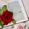 rajaa.com81