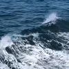 baran_878_
