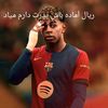 mirvis.mohammadi
