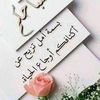 user4491230672028