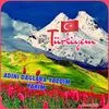 abdulkerim.kursat3867