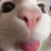 etowilleatyourtoes