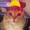 rabidsquirrel__