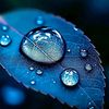 hamzahamz177