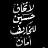 313amn13
