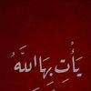 shahd.ali7860