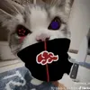 bui_bao_duc