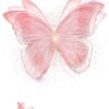 lief.oren