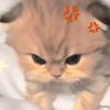 isya_tiktok12