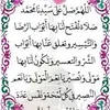 om.adam3796