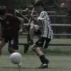 iannn_100