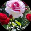 user5282377957913