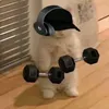 khanggg00054