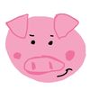 🐷