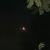 jin_1234456