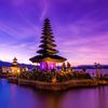 kodok_kinclong2
