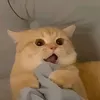 Mưa kể chuyện☂️