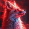 red.fox9204