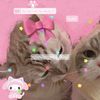 noeymeow_00w