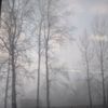 friends_01934