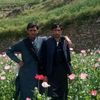 umar.shah7997