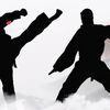 fighting_kungfu_jackie