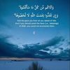 user7765453281057