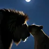 legendlionheart