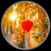 raj.chohan79