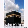 foofo.mohamed