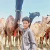 user8114247421459