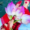 sonia_.rahman_