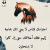 user18565821917936