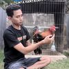 tajang_sitetti