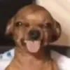 soqtkw